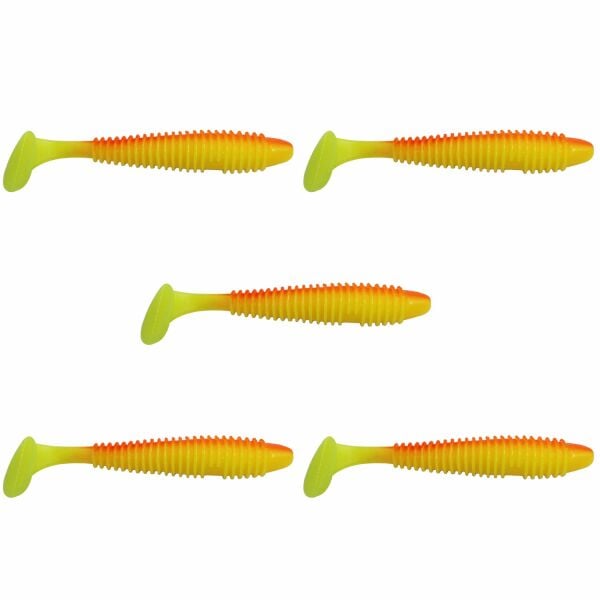 Jaxon Intensa TG-IND095P Silikon Sahte Balık, Balık Yemi 10 cm 5'li Paket